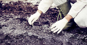 person taking soil sample